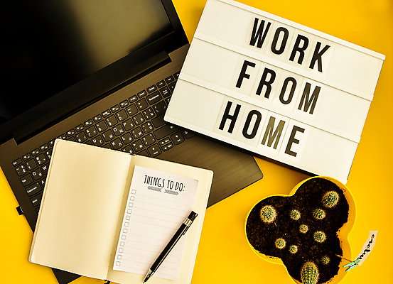 포토 JPG 해외이미지 화분 선인장 실내 사람없음 노트북 공책 재택근무 노란배경 라이트박스 선인장화분 투두리스트 해외포토 식물 백그라운드 비즈니스 문구용품 내부 전자제품 노란색 리스트 파일형식 이미지허브