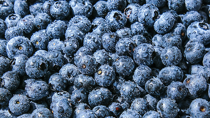 포토 JPG 해외이미지 실내 사람없음 파란색 물방울 신선 달콤 가득함 블루베리 해외포토 컬러 과일 내부 맛 파일형식 이미지허브