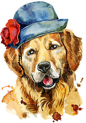 JPG 해외이미지 디자인 백그라운드 일러스트 미술 사람없음 개 리트리버 강아지 해외일러스트 포유류 문화예술 반려동물 파일형식 이미지허브