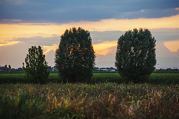 포토 JPG 해외이미지 나무 식물 계절 공원 유럽 도로 여행 백그라운드 밭 농업 자연 하늘 사람없음 야외 목재 초록색 물 파란색 빛 햇빛 태양 뷰티 농장 노란색 환경 맑음 일몰 봄 시골 숲 땅 언덕 장면 내추럴 해외포토 자연요소 공공시설 나라 산업 길 컬러 재료 교통시설 날씨 노을 생태계 파일형식 이미지허브