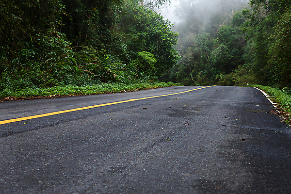 포토 JPG 해외이미지 나무 계절 도로 길 선 여행 백그라운드 잎 겨울 교통시설 자국 자동차 자연 아침 날씨 산 거리 사람없음 야외 목재 초록색 빛 뷰티 운전 오토바이 안개 흰색 고속도로 호주 숲 큼 신비 사인 속도 무거움 굴곡 방법 뿌연 해외포토 주간 식물 육상교통 컬러 교통 컨셉 재료 모션 바이크 오세아니아 무게 크기 시설 생태계 파일형식 이미지허브