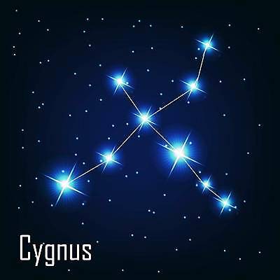 EPS 해외이미지 별 선 일러스트 사람없음 반짝임 우주 야간 연결 신비 은하계 백조자리 해외일러스트 자연요소 컨셉 모션 별자리 파일형식 벡터 이미지허브