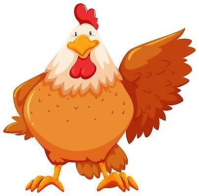 EPS 해외이미지 한마리 일러스트 사람없음 귀여움 닭 닭캐릭터 해외일러스트 1 동물캐릭터 컨셉 조류 파일형식 벡터 이미지허브