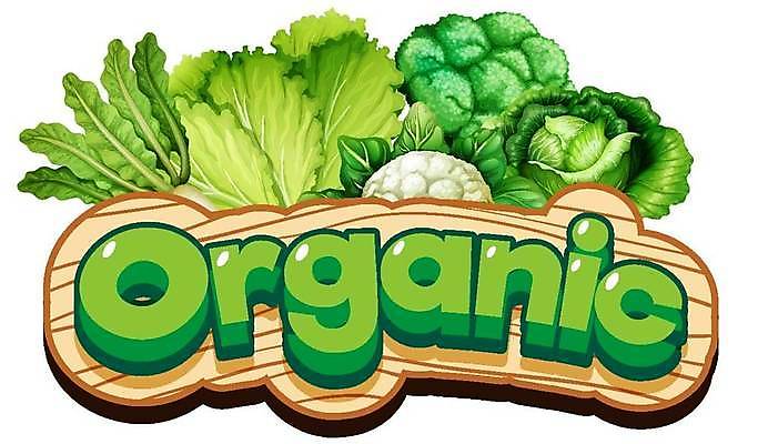 EPS 해외이미지 식물 템플릿 알파벳 영어 문장 음식 농업 채소 일러스트 재료 텍스트 프레임 건강 야외 초록색 단어 농작물 농장 공백 시골 신선 상추 만화 편지 먹기 사인 유기농 양배추 서명 내추럴 밭일 식용 해외일러스트 문자 웰빙 산업 컬러 모션 파일형식 벡터 이미지허브