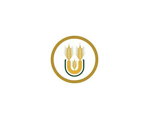 EPS 해외이미지 식물 디자인 배너 음식 빵 백그라운드 농업 다이어트 일러스트 자연 밥 건조 건강 옥수수 씨앗 농작물 농장 노란색 라벨 수확 성장 흰색 신선 시장 황금 상품 낟알 시리얼 밀 먹기 심볼 사인 유기농 보리 귀 밀가루 스파이크 내추럴 고립 밭일 엘리먼트 귀리 해외일러스트 웰빙 산업 컬러 모션 곡류 프레임 신체부위 가루 생태계 파일형식 벡터 이미지허브