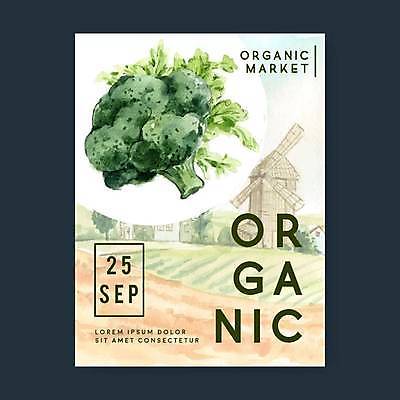 EPS 해외이미지 포스터 일러스트 사람없음 농장 풍차 브로콜리 유기농 해외일러스트 웰빙 농업 채소 파일형식 벡터 이미지허브