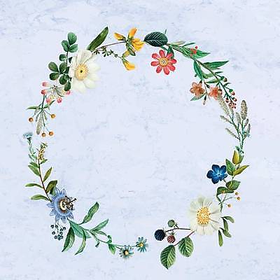 EPS 해외이미지 꽃 줄기 하늘색 잎 일러스트 프레임 사람없음 원형 꽃봉오리 해외일러스트 도형 식물 파란색 파일형식 벡터 이미지허브