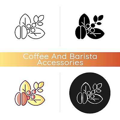 EPS 해외이미지 커피 잎 일러스트 사람없음 원두 플랫 커피열매 해외일러스트 식물 열매 음료 파일형식 벡터 이미지허브