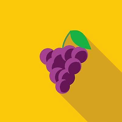 EPS 해외이미지 식물 디자인 열매 음식 잎 농업 과일 일러스트 탁자 포도 매달리기 건강 그림자 그래픽 빨간색 농장 와인 보라색 시장 플랫 달콤 다발 심볼 오브젝트 유기농 윤곽 포도나무 내추럴 고립 숙성 해외일러스트 웰빙 산업 컬러 가구 모션 주류 맛 과일나무 파일형식 벡터 이미지허브