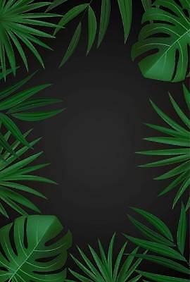 EPS 해외이미지 일러스트 프레임 사람없음 초록색 검은색 몬스테라 열대잎 보테니컬아트 트로피컬아트 해외일러스트 식물 컬러 잎 그림 파일형식 벡터 이미지허브