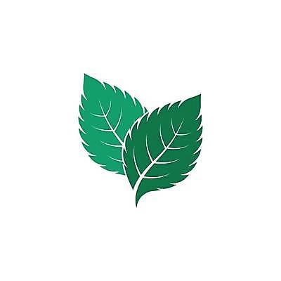 EPS 해외이미지 식물 디자인 잎 2 꽃무늬 일러스트 자연 미술 초록색 흰색 신선 플랫 시원함 민트 허브 심볼 사인 유기농 내추럴 고립 엘리먼트 스피아민트 해외일러스트 웰빙 꽃 컬러 무늬 문화예술 생태계 파일형식 벡터 이미지허브