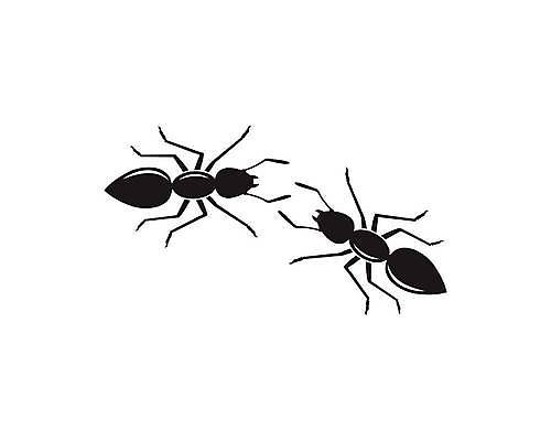 EPS 해외이미지 동물 선 곤충 백그라운드 패턴 일러스트 자국 자연 노동자 검은색 흰색 업무 그룹 해충 벌레 작음 만화 설탕 심볼 개미 고립 식민지 원정 행진 해외일러스트 직업 컬러 무늬 모션 작업 크기 생태계 파일형식 벡터 이미지허브