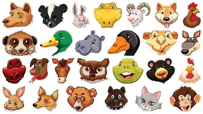 EPS 해외이미지 야생동물 어린이 포즈 날개 일러스트 파충류 조류 털 동물원 미소 야외 고양이 치킨 원숭이 표현 입 호랑이 그룹 거북이 개 만화 심볼 깃털 여우 육식동물 부엉이 거위 송곳니 미어캣 밭일 시리즈 해외일러스트 동물 포유류 표정 사람 신체부위 반려동물 치아 닭고기요리 파일형식 벡터 이미지허브