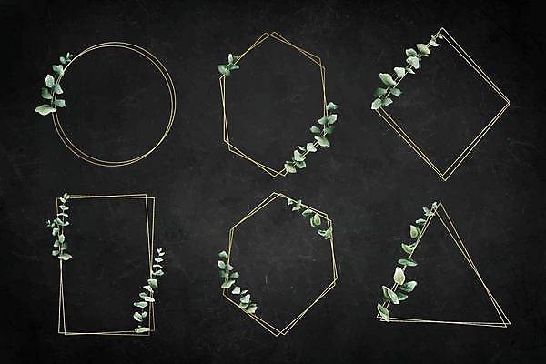 EPS 해외이미지 잎 일러스트 프레임 사람없음 세트 사각형 원형 삼각형 마름모 해외일러스트 도형 식물 파일형식 벡터 이미지허브