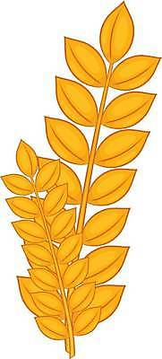 EPS 해외이미지 식물 디자인 계절 음식 빵 컨셉 농업 일러스트 자연 건강 옥수수 요리 씨앗 농작물 농장 갈색 노란색 식사 웹 수확 가을 낟알 만화 땅 시리얼 밀 삼베 가득함 심볼 오브젝트 사인 유기농 보리 귀 밀가루 자루 내추럴 고립 블로그 숙성 엘리먼트 호밀 스타일 해외일러스트 웰빙 산업 컬러 인터넷 곡류 신체부위 가루 생태계 파일형식 벡터 천_직물 이미지허브