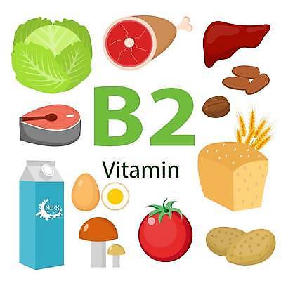 EPS 해외이미지 템플릿 디자인 잡화 포스터 음식 빵 농업 다이어트 토마토 채소 일러스트 자연 딸기 밥 양파 치즈 콩 감자 파슬리 건강 육류 어류 요리 초록색 세트 장미 초콜릿 계란 식사 여러개 버섯 인포그래픽 샐러드 우유 정보 수확 굴 신선 달콤 어플리케이션 상품 혼합 브로콜리 민들레 엉덩이 밀 수집 먹기 메밀 심볼 사인 보고서 날것 간 땅콩 밀가루 호두 아몬드 모음 섬유 시금치 공식 돌봄 살구 오트밀 작살 채식주의자 화학물질 비건 해외일러스트 꽃 산업 컬러 다수 과일 식재료 모션 어패류 디저트 유제품 곡류 한글 신체부위 알 수중동물 견과류 직물 장기_의학 화학 맛 가루 생태계 채식 파일형식 벡터 귀리 이미지허브