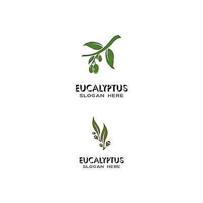 EPS 해외이미지 나무 식물 실루엣 잎 일러스트 자연 추상 건강 초록색 세트 나뭇가지 신선 호주 심볼 사인 에코 아로마 내추럴 고립 해외일러스트 컬러 무늬 촬영기법 환경 오세아니아 생태계 파일형식 벡터 이미지허브