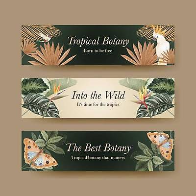 EPS 해외이미지 템플릿 배너 가로배너 나비 일러스트 사람없음 초록색 앵무새 극락조화 베이지색 열대잎 보테니컬아트 배너세트 해외일러스트 식물 컬러 곤충 잎 조류 가로 세트 파일형식 벡터 이미지허브