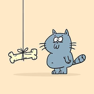 EPS 해외이미지 클립아트 동물 캐릭터 밧줄 컨셉 일러스트 포유류 뼈 그래픽 반려동물 고양이 회색 만화 땅 그림 꼬리 코믹 고립 마스코트 해외일러스트 일러캐릭터 줄 컬러 파일형식 벡터 이미지허브