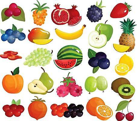 EPS 해외이미지 백그라운드 잎 오렌지 일러스트 딸기 포도 수박 바나나 키위 사람없음 컬러풀 신선 체리 레몬 심볼 파인애플 블루베리 산딸기 복숭아 석류 자두 블랙베리 크랜베리 해외일러스트 식물 열매 컬러 과일 열대과일 파일형식 벡터 이미지허브