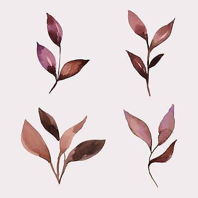 EPS 해외이미지 식물 잎 일러스트 사람없음 세트 해외일러스트 파일형식 벡터 이미지허브