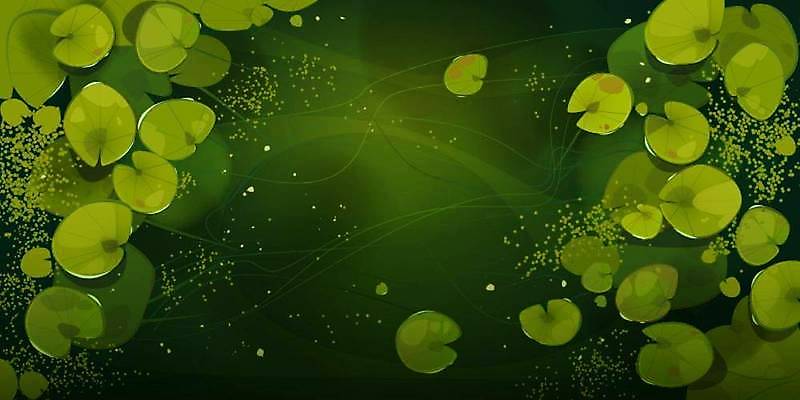 EPS 해외이미지 식물 공원 호수 백그라운드 잎 일러스트 자연 벽지 연꽃 이끼 풍경 목재 초록색 물 햇빛 정원 연못 습지 정상 숲 백합 신비 만화 마법 내추럴 패드 깊이 변소 해외일러스트 자연요소 나무 공공시설 꽃 컬러 컨셉 재료 태양 생태계 파일형식 벡터 이미지허브