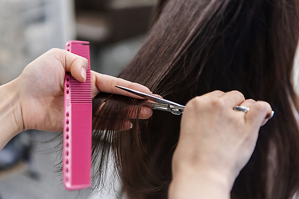 포토 JPG 손 여자 실내 한명 상반신 20대 성인 뒷모습 아웃포커스 신체부위 머리카락 한국인 잡기 머리빗 미용실 자르기 머리손질 헤어관리 미용가위 성인여자한명만 숱 국내포토 1 뷰포인트 모션 가위_도구 촬영기법 사람 동양인 청년 내부 뷰티 머리 미용용품 뷰티샵 여자한명만 성인여자만 파일형식