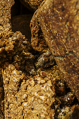 포토 JPG 주간 전통 한식 근접촬영 사람없음 야외 전통음식 된장 전라남도 발효 메주 발효음식 담양 메주콩 국내포토 자연요소 음식 뷰포인트 양념 전라도 파일형식