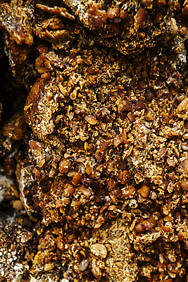 포토 JPG 주간 전통 한식 근접촬영 사람없음 야외 전통음식 된장 전라남도 발효 메주 발효음식 담양 메주콩 국내포토 자연요소 음식 뷰포인트 양념 전라도 파일형식