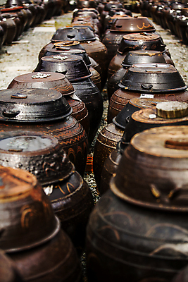 포토 JPG 주간 한국전통 전통 사람없음 야외 전통음식 항아리 전라남도 일렬 발효 발효음식 담양 국내포토 자연요소 음식 한국 도자기 전라도 파일형식