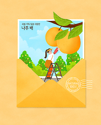 전신 PSD 여자 일러스트 사다리 편지봉투 한명 서기 성인 도장 노란색 수확 농부 과수원 특산물 엽서 손뻗기 나주 나주배 배나무 소인 성인여자한명만 국내일러스트 나무 직업 1 컬러 농업 모션 봉투 사람 도구 배_과일 편지 전라남도 여자한명만 성인여자만 파일형식