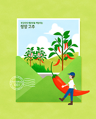 전신 PSD 구름 모자 남자 일러스트 편지봉투 한명 들기 성인 초록색 도장 걷기 농부 언덕 특산물 엽서 고추밭 소인 청양고추 성인남자한명만 청양 국내일러스트 자연요소 직업 1 잡화 컬러 밭 모션 고추 봉투 사람 충청남도 편지 남자한명만 성인남자만 파일형식
