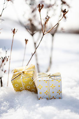 포토 JPG 주간 겨울 새해 사람없음 야외 아웃포커스 선물상자 설원 미니어처 두개 눈 오브젝트 눈덮임 국내포토 자연요소 계절 컨셉 2 날씨 눈_날씨 촬영기법 선물 상자 모형 파일형식