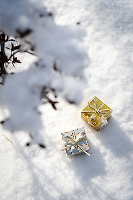 포토 JPG 주간 겨울 새해 사람없음 야외 선물상자 설원 미니어처 두개 눈 소프트포커스 오브젝트 눈덮임 국내포토 자연요소 계절 컨셉 2 날씨 눈_날씨 촬영기법 선물 상자 모형 파일형식