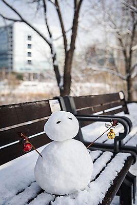 포토 JPG 주간 나무 공원 겨울 벤치 눈사람 근접촬영 사람없음 야외 아웃포커스 설원 눈 오브젝트 오너먼트 눈덮임 국내포토 자연요소 식물 계절 공공시설 뷰포인트 컨셉 크리스마스장식 의자 날씨 눈_날씨 촬영기법 파일형식