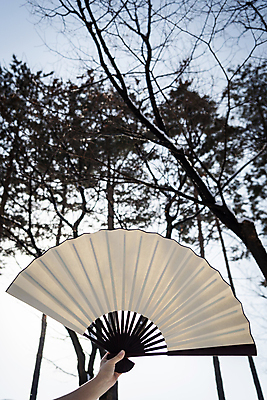 포토 JPG 주간 나무 한국전통 손 겨울 새해 전통소품 들기 사람없음 야외 신체부위 나뭇가지 오브젝트 접부채 국내포토 자연요소 식물 전통 계절 모션 한국 사람 전통부채 파일형식