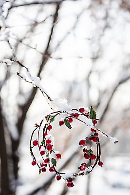 포토 JPG 주간 크리스마스장식 크리스마스 겨울 크리스마스용품 사람없음 야외 아웃포커스 장식 설원 나뭇가지 눈 오브젝트 걸림 크리스마스리스 국내포토 자연요소 나무 계절 기념일 모션 날씨 눈_날씨 촬영기법 화환 용품 파일형식