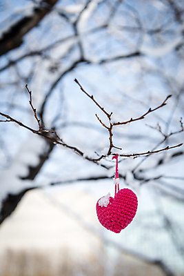 포토 JPG 주간 겨울 새해 매달리기 근접촬영 사람없음 야외 아웃포커스 장식 설원 나뭇가지 하트 눈 털실 오브젝트 국내포토 자연요소 모양 나무 계절 뷰포인트 모션 날씨 눈_날씨 촬영기법 실 파일형식