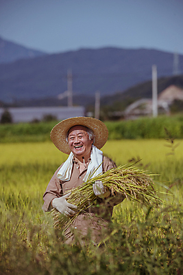 포토 JPG 주간 노년 남자 장갑 논 한명 미소 들기 상반신 야외 앞모습 아웃포커스 수건 농사 한국인 수확 추수 벼 가을 농촌 농부 밀짚모자 귀농 70대 전원생활 노인남자한명만 국내포토 여주시 자연요소 직업 모자_잡화 1 잡화 계절 뷰포인트 농업 모션 곡류 촬영기법 표정 사람 동양인 성인 생활 위생용품 시골 경기도 남자한명만 노인남자만 파일형식