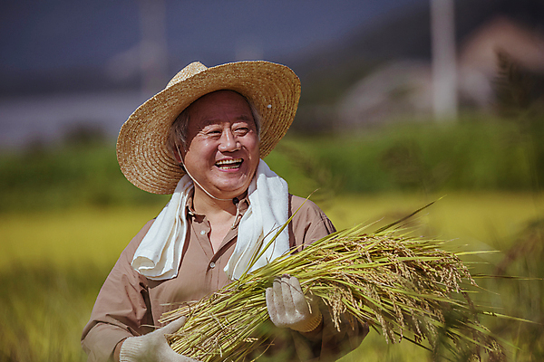 포토 JPG 주간 응시 노년 남자 장갑 논 한명 미소 들기 상반신 야외 옆모습 아웃포커스 수건 농사 한국인 수확 추수 벼 가을 농촌 농부 밀짚모자 귀농 70대 전원생활 노인남자한명만 국내포토 여주시 자연요소 직업 모자_잡화 1 시선 잡화 계절 뷰포인트 농업 모션 곡류 촬영기법 표정 사람 동양인 성인 생활 위생용품 시골 경기도 남자한명만 노인남자만 파일형식
