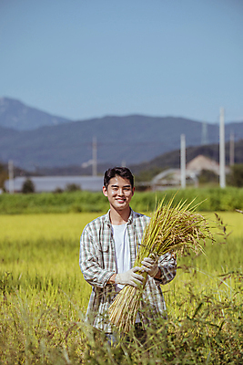 포토 JPG 남자 장갑 논 한명 미소 들기 상반신 20대 성인 앞모습 농사 한국인 수확 추수 벼 가을 농촌 농부 귀농 전원생활 성인남자한명만 국내포토 여주시 직업 1 잡화 계절 뷰포인트 농업 모션 곡류 표정 사람 동양인 청년 생활 시골 경기도 남자한명만 성인남자만 파일형식