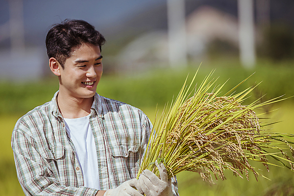포토 JPG 응시 남자 장갑 논 한명 미소 들기 상반신 20대 성인 옆모습 아웃포커스 농사 한국인 수확 추수 벼 가을 농촌 농부 귀농 전원생활 성인남자한명만 국내포토 여주시 직업 1 시선 잡화 계절 뷰포인트 농업 모션 곡류 촬영기법 표정 사람 동양인 청년 생활 시골 경기도 남자한명만 성인남자만 파일형식