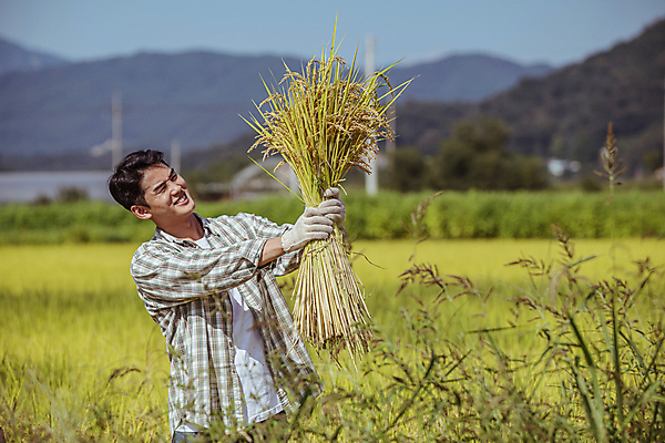 포토 JPG 응시 남자 장갑 논 한명 미소 들기 상반신 20대 성인 옆모습 아웃포커스 농사 한국인 수확 추수 벼 가을 농촌 농부 귀농 전원생활 성인남자한명만 국내포토 여주시 직업 1 시선 잡화 계절 뷰포인트 농업 모션 곡류 촬영기법 표정 사람 동양인 청년 생활 시골 경기도 남자한명만 성인남자만 파일형식