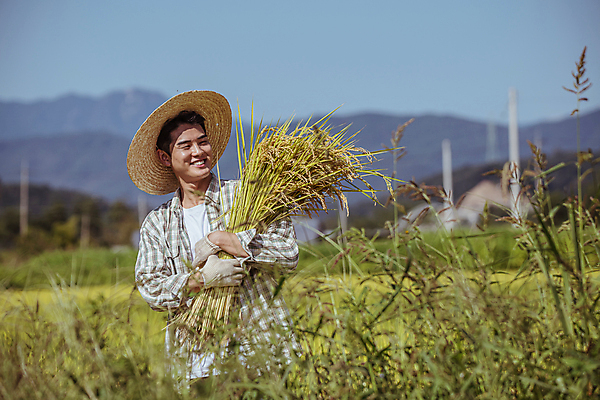 포토 JPG 응시 남자 장갑 안기 논 한명 미소 들기 상반신 20대 성인 앞모습 농사 한국인 수확 추수 벼 가을 농촌 농부 밀짚모자 귀농 전원생활 성인남자한명만 국내포토 여주시 직업 모자_잡화 1 시선 잡화 계절 뷰포인트 농업 모션 곡류 표정 사람 동양인 청년 생활 시골 경기도 남자한명만 성인남자만 파일형식