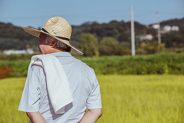 포토 JPG 주간 응시 노년 남자 논 한명 상반신 야외 뒷모습 아웃포커스 수건 한국인 벼 가을 농촌 농부 밀짚모자 귀농 70대 전원생활 노인남자한명만 국내포토 여주시 자연요소 직업 모자_잡화 1 시선 계절 뷰포인트 농업 곡류 촬영기법 사람 동양인 성인 생활 위생용품 시골 경기도 남자한명만 노인남자만 파일형식
