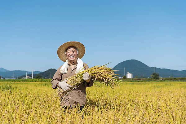포토 JPG 주간 노년 남자 장갑 논 한명 미소 들기 상반신 야외 앞모습 수건 농사 한국인 수확 추수 벼 가을 농촌 농부 밀짚모자 귀농 70대 전원생활 노인남자한명만 국내포토 여주시 자연요소 직업 모자_잡화 1 잡화 계절 뷰포인트 농업 모션 곡류 표정 사람 동양인 성인 생활 위생용품 시골 경기도 남자한명만 노인남자만 파일형식