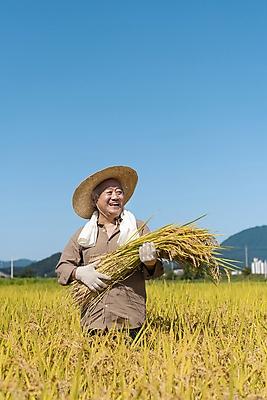 포토 JPG 주간 응시 노년 남자 장갑 논 한명 미소 들기 상반신 야외 앞모습 수건 농사 한국인 수확 추수 벼 가을 농촌 농부 밀짚모자 귀농 70대 전원생활 노인남자한명만 국내포토 여주시 자연요소 직업 모자_잡화 1 시선 잡화 계절 뷰포인트 농업 모션 곡류 표정 사람 동양인 성인 생활 위생용품 시골 경기도 남자한명만 노인남자만 파일형식