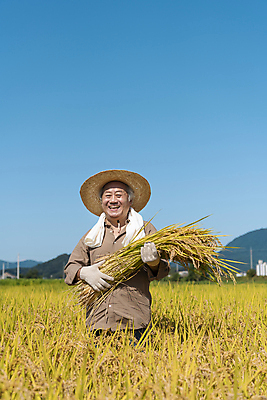 포토 JPG 주간 노년 남자 장갑 논 한명 미소 들기 상반신 야외 앞모습 수건 농사 한국인 수확 추수 벼 가을 농촌 농부 밀짚모자 귀농 70대 전원생활 노인남자한명만 국내포토 여주시 자연요소 직업 모자_잡화 1 잡화 계절 뷰포인트 농업 모션 곡류 표정 사람 동양인 성인 생활 위생용품 시골 경기도 남자한명만 노인남자만 파일형식