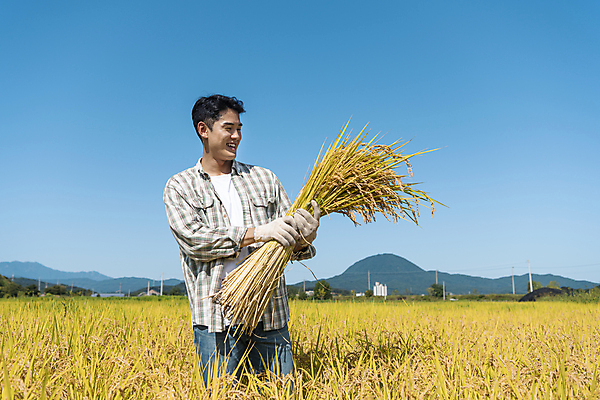 포토 JPG 응시 남자 장갑 논 한명 미소 들기 상반신 20대 성인 옆모습 농사 한국인 수확 추수 벼 가을 농촌 농부 귀농 전원생활 성인남자한명만 국내포토 여주시 직업 1 시선 잡화 계절 뷰포인트 농업 모션 곡류 표정 사람 동양인 청년 생활 시골 경기도 남자한명만 성인남자만 파일형식