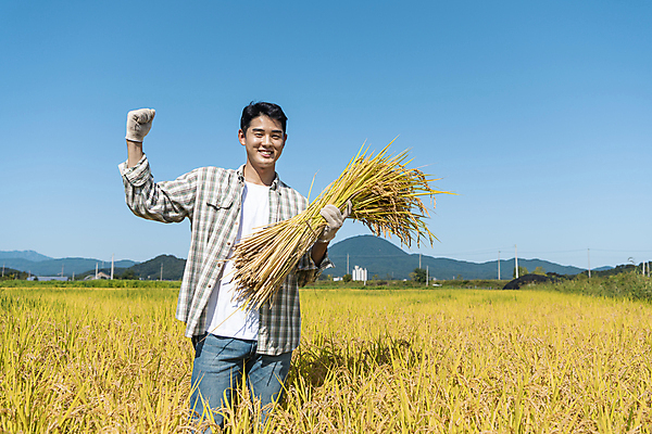 포토 JPG 남자 장갑 논 한명 들기 상반신 20대 성인 앞모습 농사 파이팅 주먹 한국인 수확 추수 벼 가을 농촌 농부 귀농 전원생활 성인남자한명만 국내포토 여주시 직업 1 잡화 계절 뷰포인트 농업 모션 곡류 사람 동양인 청년 생활 시골 경기도 남자한명만 성인남자만 파일형식